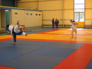 judo